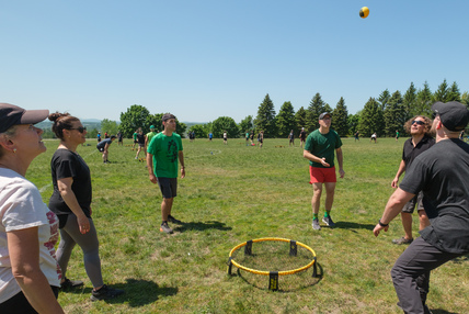 Spikeball