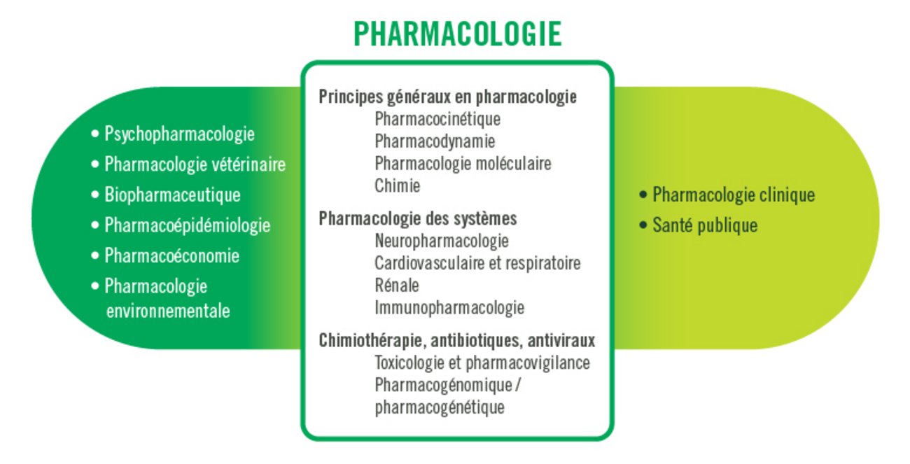 Les spécialités de la pharmacologie