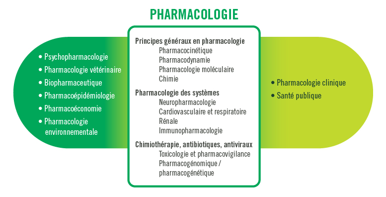 Les spécialités de la pharmacologie