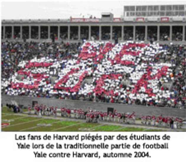 Les fans de Harvard lors d'une partie de football