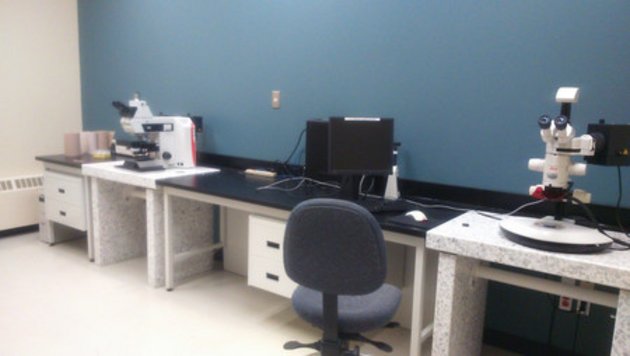 Microscopes optiques