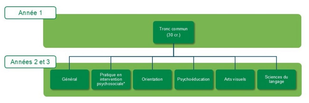 Illustration graphique du parcours des trois années du programme de baccalauréat en psychologie : 30 crédits en tronc commun la première année, et pour les deux années subséquentes, 60 crédits à faire dans l’un des cheminements suivants : général, pratique en intervention psychosociale, orientation, psychoéducation, sciences du langage et arts visuels
