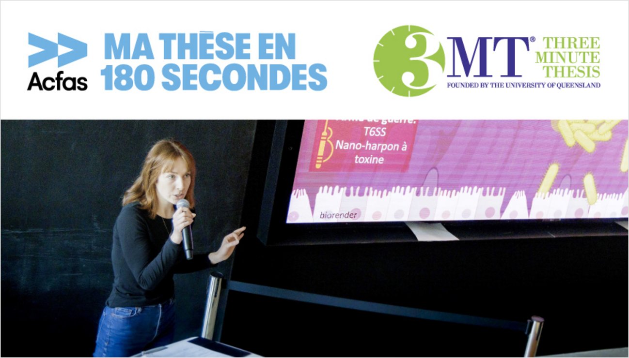 Photo from the 2025 local selection.