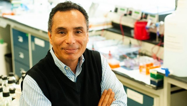 Photo of professor Sherif Abou Elela