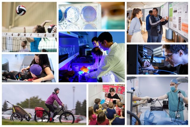 Photomontage donnant un aperçu de la diversité des projets de recherche réalisés à l'Université de Sherbrooke