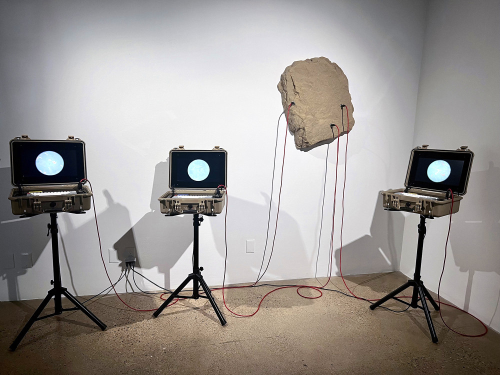 La pratique de l'artiste Nicolas Lapointe, qui donnera ce cours, est bas&eacute;e sur une investigation des environnements Web et des mondes g&eacute;n&eacute;r&eacute;s par ordinateur associ&eacute;s aux jeux vid&eacute;o et aux technologies immersives (en duo avec Anna Eyler). On aper&ccedil;oit ici leur installation nomm&eacute;e /lick (2023), qui catalogue les esp&egrave;ces en voie de disparition du monde num&eacute;rique. En combinant les m&eacute;canismes des jeux en ligne avec les strat&eacute;gies de pr&eacute;sentation en laboratoire, ce projet cr&eacute;e des points de contact inattendus entre humains et organismes num&eacute;riques.