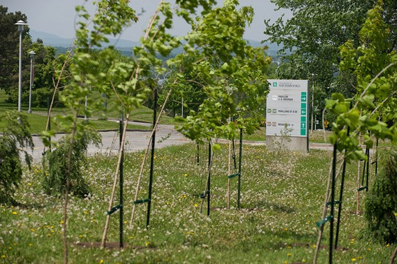 Plusieurs membres de la communauté universitaire ont participé à la dernière plantation d'arbres au Campus principal.