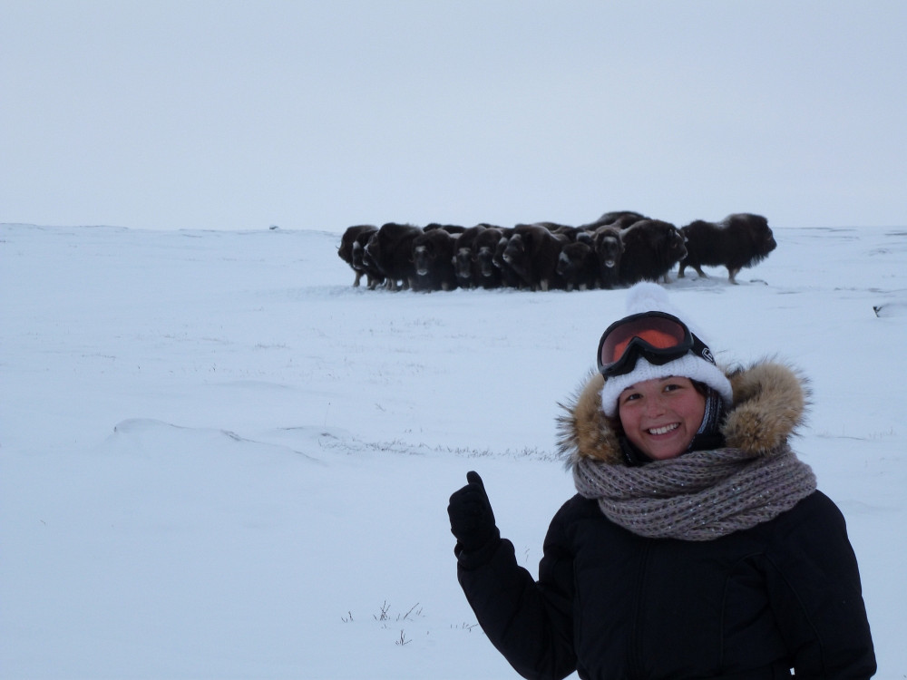 Catherine Dumont-Poirier, stagiaire en kinésiologie, a récemment eu l’occasion de voir un troupeau de bœufs musqués lors d’une randonnée en motoneige.
