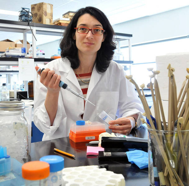 La Dre&nbsp;Julie Carrier, M.D., gastroent&eacute;rologue, chercheuse au Centre de recherche clinique &Eacute;tienne-Le&nbsp;Bel du CHUS et professeure &agrave; la Facult&eacute; de m&eacute;decine et des sciences de la sant&eacute; de l&rsquo;UdeS.