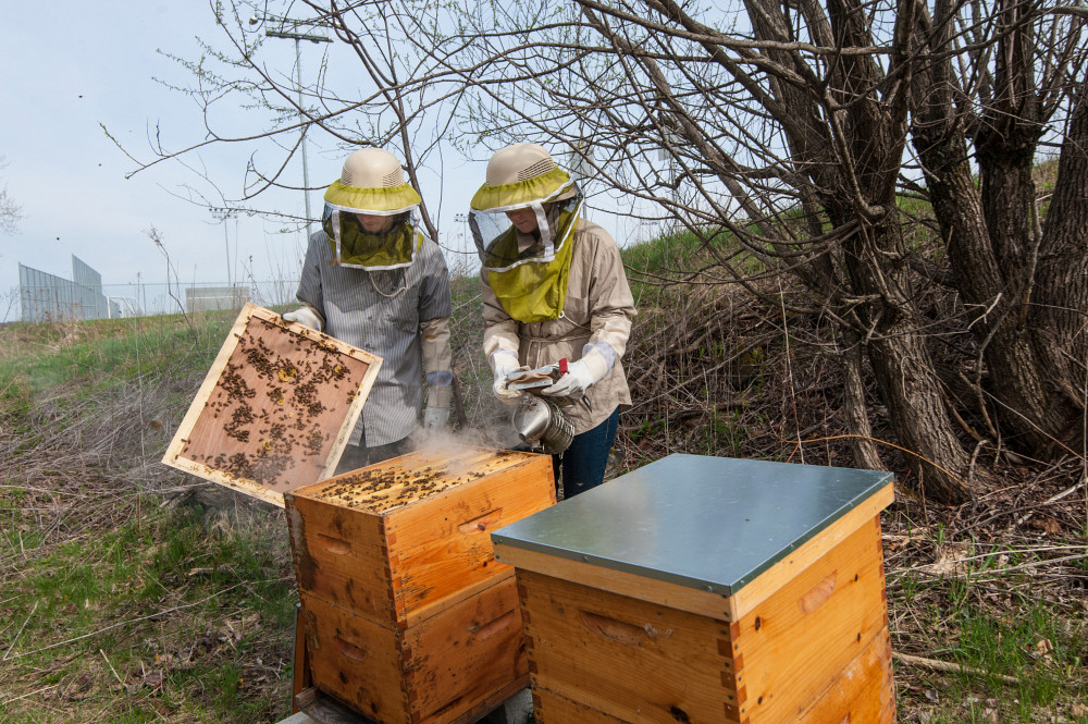 Membres de Ruche Campus en 2016.