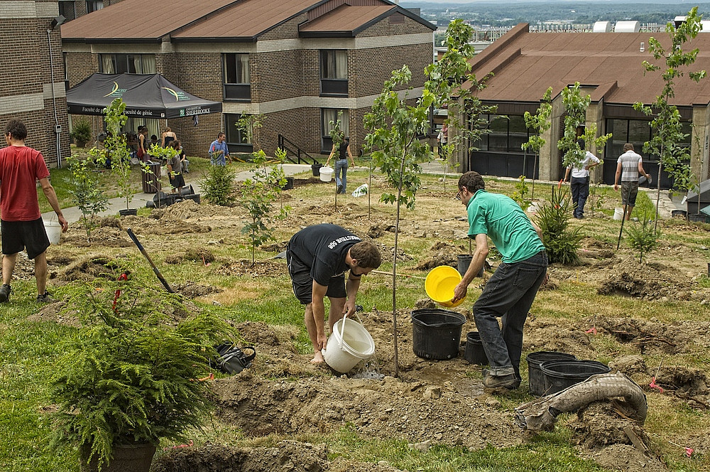 Plusieurs étudiantes et étudiants ont participé à la plantation le 26 juillet.