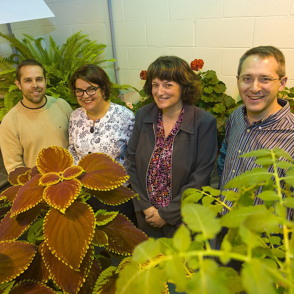 Quelques chercheurs du Centre S&Egrave;VE&nbsp;: S&eacute;bastien Roy, Carole Beaulieu, Nathalie Beaudoin et Peter Moffett.