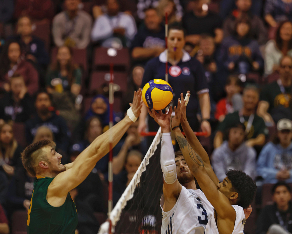 Photo : Michael P. Hall