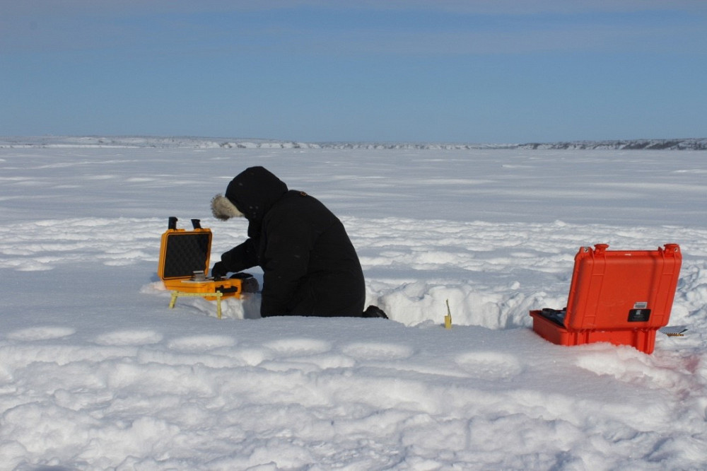 Alain Royer examinant les grains de neige de la toundra au nord d’Inuvik, TNO (69°N)