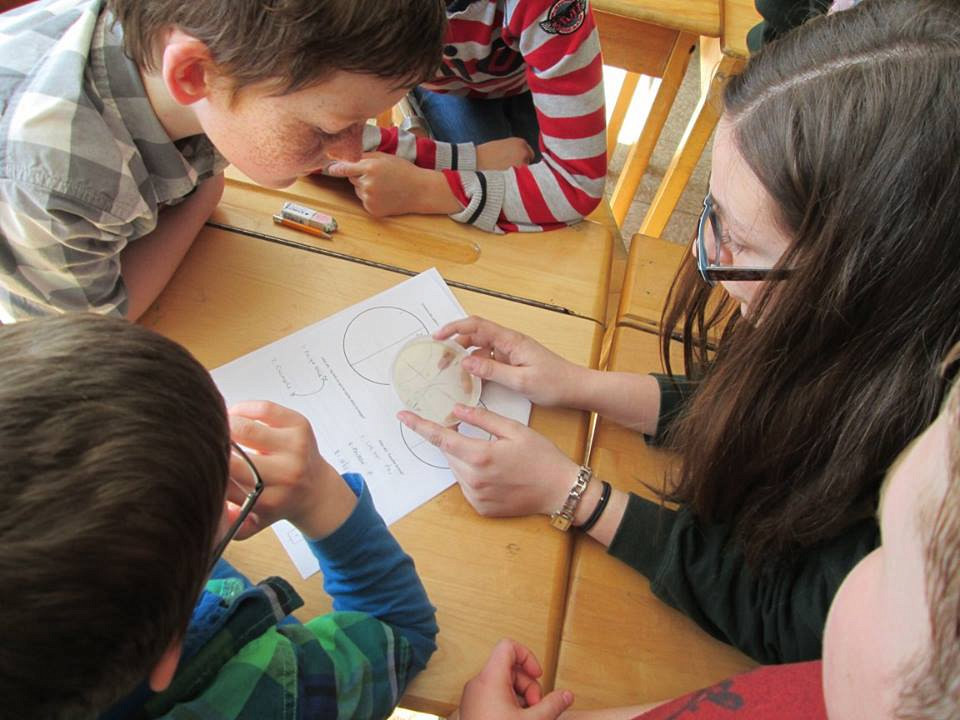 Des &eacute;tudiants en biochimie de la sant&eacute; ont explor&eacute; le&nbsp;monde des micro-organismes avec des enfants du primaire.