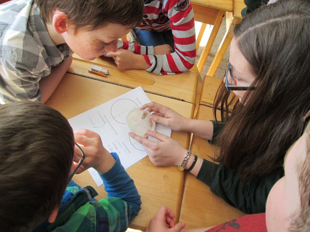 Des &eacute;tudiants du baccalaur&eacute;at en biochimie de la sant&eacute; ont explor&eacute; le&nbsp;monde des micro-organismes avec des enfants du primaire