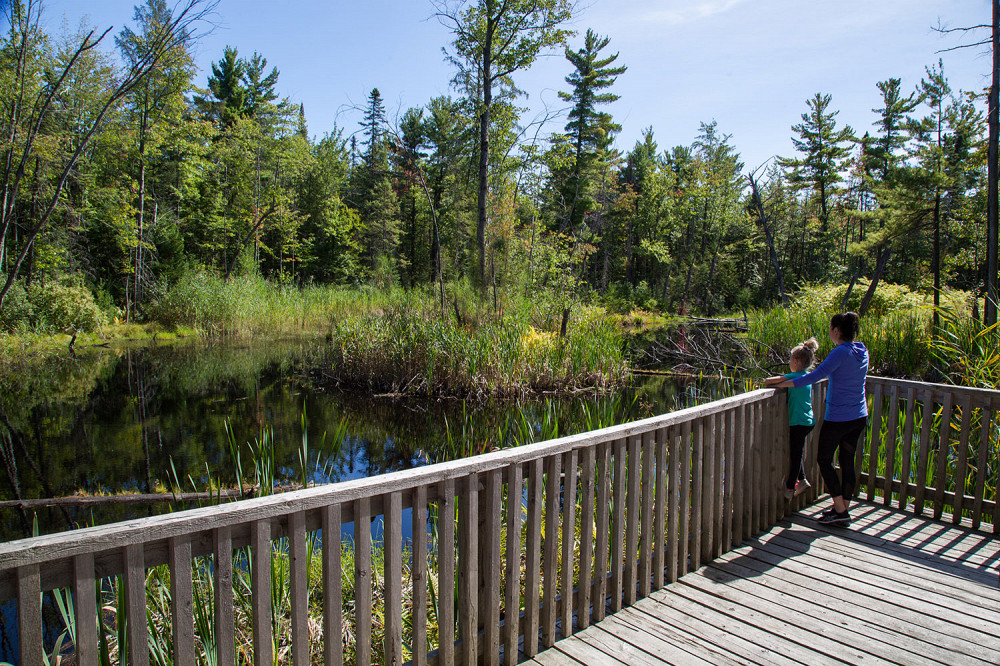 Observatoire de la biodiversit&eacute; en milieu humide au Parc r&eacute;gional des Gr&egrave;ves