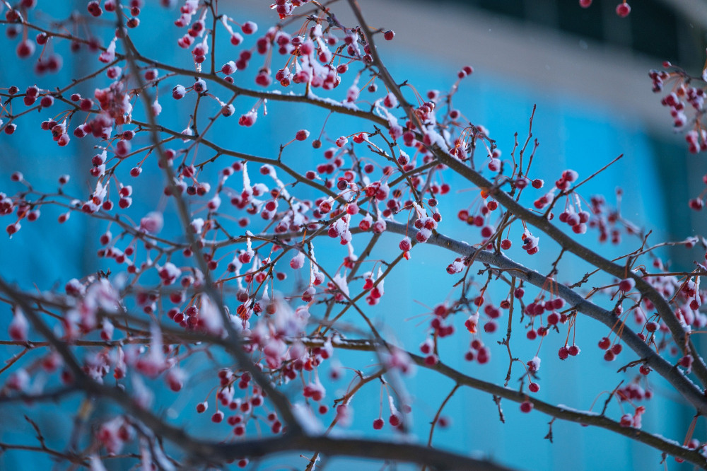 Campus principal, pavillon Georges-Cabana (B1)