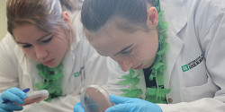 Près de 130 jeunes filles découvrent la science, le génie et la technologie à l'UdeS
