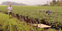 Des drones pour façonner l'agriculture du futur