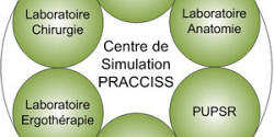 Apprentissage et évaluation par simulation en contexte de distanciation physique à la FMSS