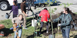 200 nouveaux arbres plantés sur le Campus principal