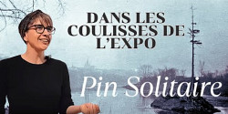 <em>Pin Solitaire</em>