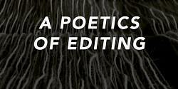 <em>A Poetics of Editing</em>, par Susan L. Greenberg