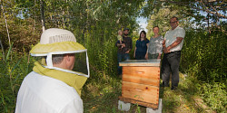 L’UdeS accueille une ruche sur son Campus principal