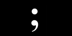 The semicolon