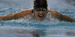 «Nos athlètes doivent réaliser qu'ils ont le potentiel pour nager avec l'élite» - David Li Fok Waï