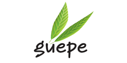 Partenariat avec le GUEPE!