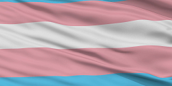 Promouvoir l’inclusion pour lutter contre la transphobie