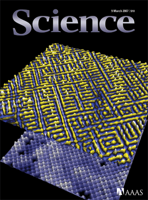 Image d’un cristal supraconducteur à haute température obtenue par microscopie à balayage à effet tunnel (image : Yuhki Kohsaka).