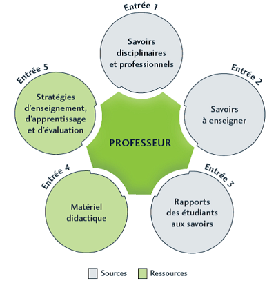 Questionnement didactique au coll&eacute;gial