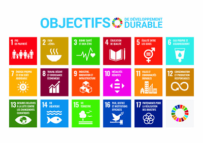 Interreliés, les 17 ODD adoptés par les États membres de l’ONU visent à garantir un meilleur avenir, d’ici 2030, pour l’ensemble des collectivités.