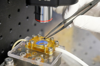 Aperçu du Quantum Semiconductor Photonic Biosensor Reader, un équipement du 3IT développé par l’équipe du Pr Jan Dubowski.