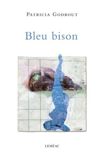GODBOUT, Patricia, Bleu bison, Leméac Éditeur, Montréal, 2017, 128 pages.