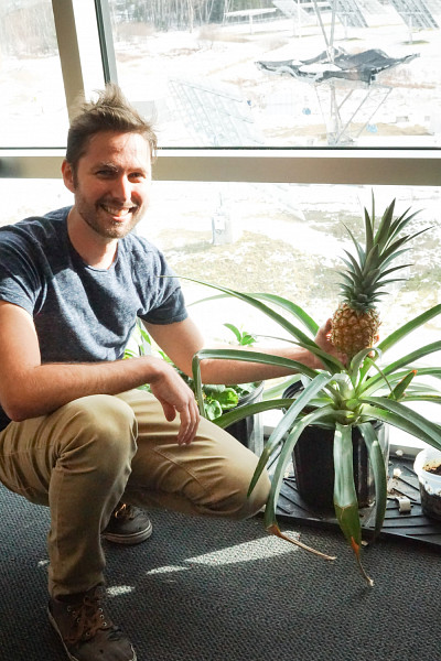 Philippe-Olivier Provost et le plant d'ananas qu'il entretient &agrave; son bureau!