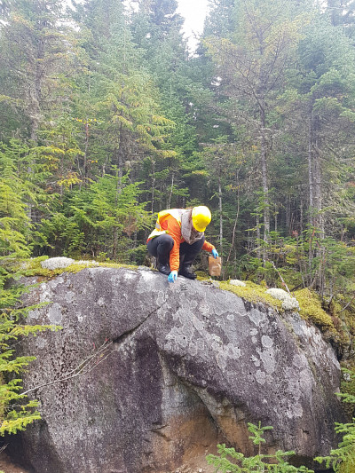 Marie Renaudin, étudiante auprès de Pr Jean-Philippe Bellenger et co-auteure de l'étude,, collecte du lichen dans le Nord québécois.