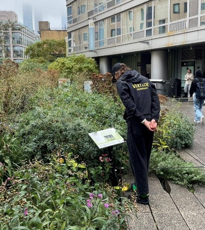 Les couleurs du Vert & Or voyagent jusqu&rsquo;&agrave; New York.