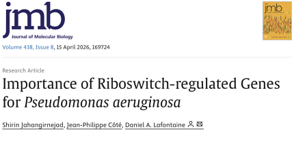Article du labo accepté dans <em>J Mol Biol</em>