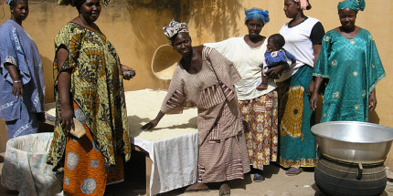 Améliorer le pouvoir économique des femmes du Mali rural<br>