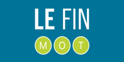 Sciences humaines numériques (digital humanities)