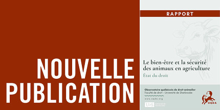 Le bien-être et la sécurité des animaux en agriculture