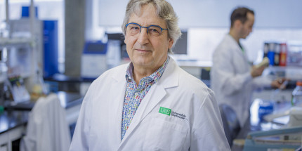 Comment nos cellules protègent leur ADN… et ce que la levure nous apprend sur le vieillissement