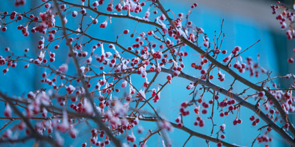 Accumulez de l'épargne-retraite avec le REER collectif de l'UdeS