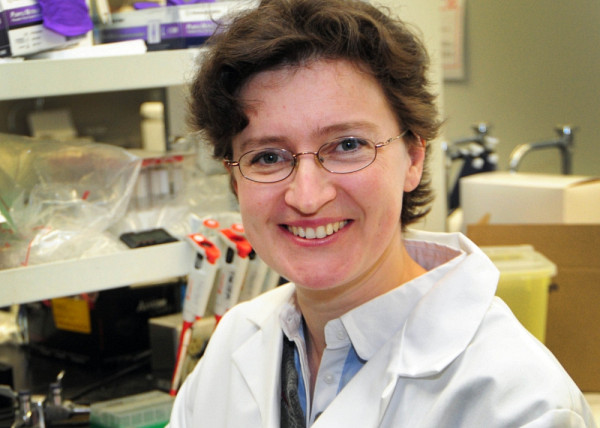 La professeure Larissa Takser, pédiatre et chercheuse, s'intéresse à la toxicité des PBDE. Elle mène une vaste étude auprès de mères et de leurs enfants dans la région de Sherbrooke.