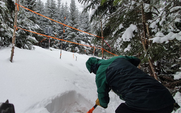 Le professeur Alain Royer creuse un puits dans la neige pour mesurer la quantit&eacute; de neige
