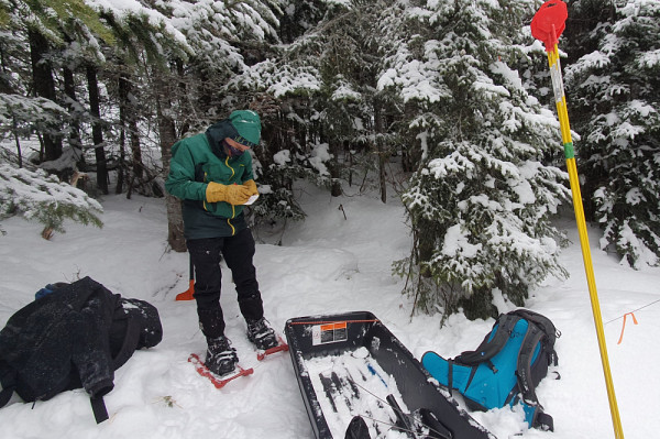 Le professeur Royer consigne les donn&eacute;es recueillies.